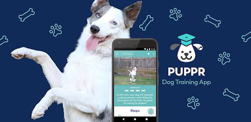 Puppr - Dog Training & Tricks - Apps On Google Play