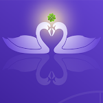 Cover Image of Tải xuống LiebesKlee - astrological partnership test 1.0.6 APK