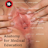 Sex education and Anatomy icon