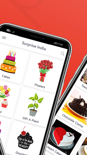 Surprise India: Cakes & Gifts Screen 2