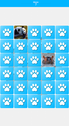 Pairs: Animals Screen 2