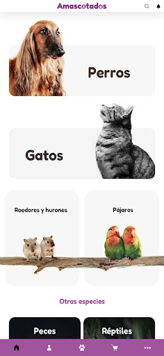 Android application Amascotados screenshort
