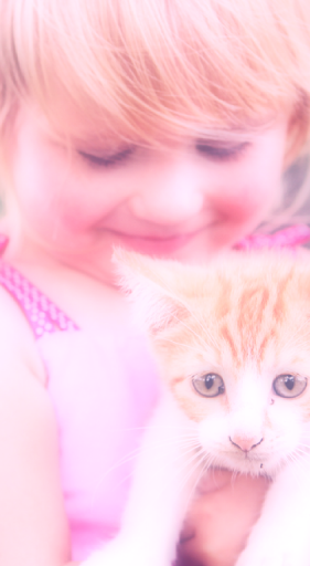 Soft Pink Filter  Shades pink