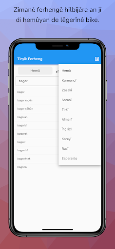 Tirsik Kurdish Dictionary Screen 3