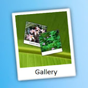 Gallery  Icon