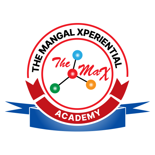 The Max Academy 2.0 Icon
