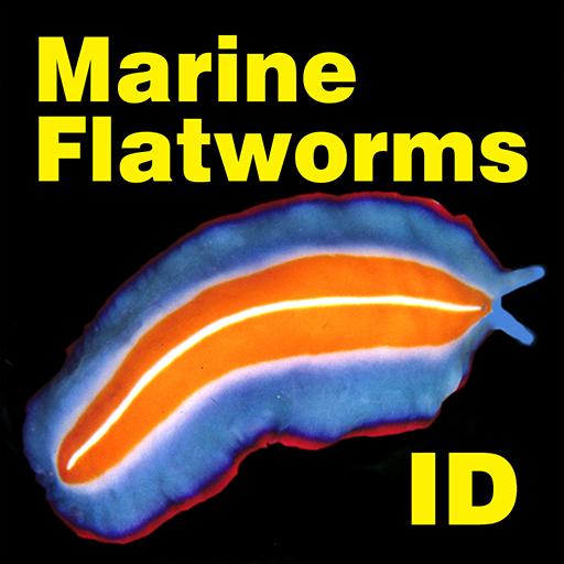 Marine Flatworms ID logo