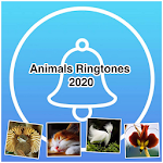 Cover Image of Descargar Animals Ringtones 2020  APK