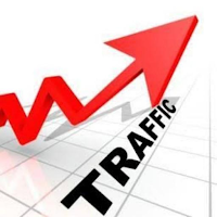 Website /Blog Traffic booster-Get lot of traffic
