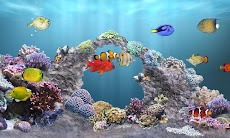 aniPet Marine Aquarium HDのおすすめ画像2