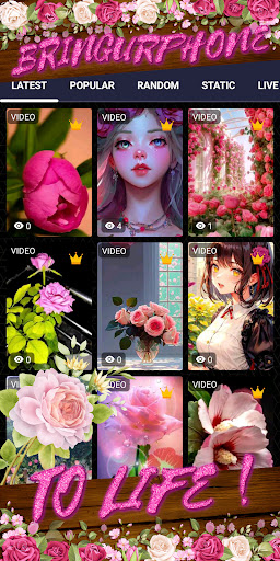 pink rose wallpaper Screenshot 2 - AppWisp.com