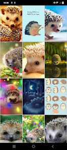 Captura 10 Fondos de pantalla de erizo android