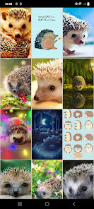 Screenshot 10 Fondos de pantalla de erizo android