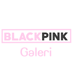 Cover Image of Download BlackPink Galeria 1.0.0 APK