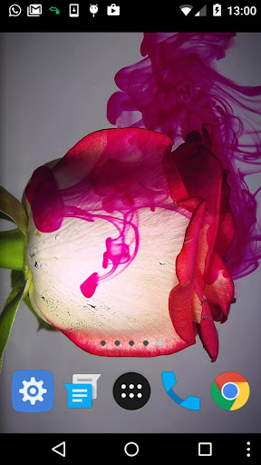 red rose wallpaper Screen 2