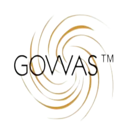 Govvas logo