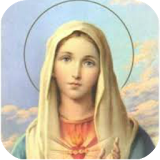 Virgen Maria Madre De Dios icon
