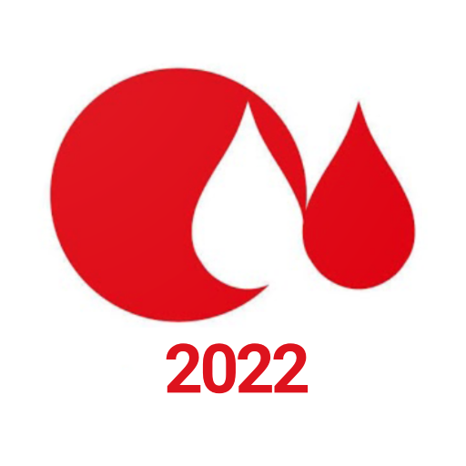 Summit 2022 logo