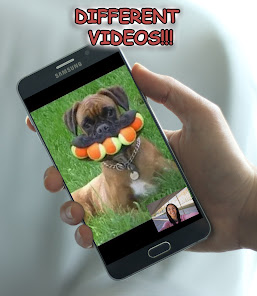 Captura 7 LOL: Si te Ries...Pierdes android