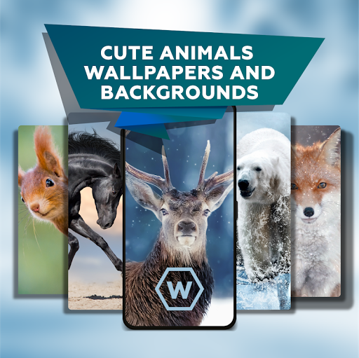 Cute animal picture wallpapers Screen 2