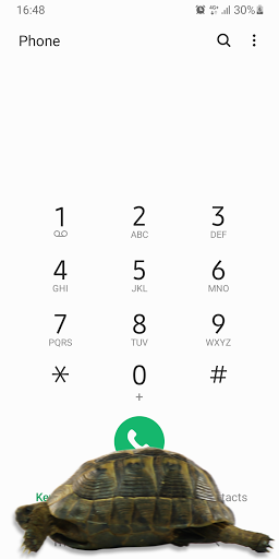 Turtle Walks in Phone Joke - iTurtle