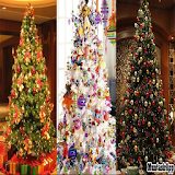 Christmas Tree Design icon