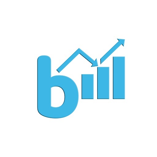 Berqnet Report logo