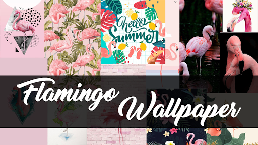 Android application Flamingo Wallpaper screenshort