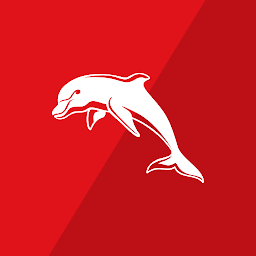 Obraz ikony: Dolphins