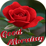Cover Image of Tải xuống Good morning Gif 1.1 APK