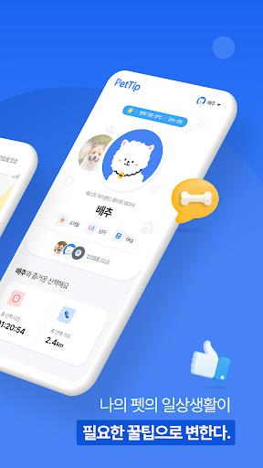 펫팁 - 반려동물 케어 꿀팁 Screen 2