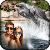 Dolphin Photo Frames icon