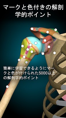 Anatomy Learning - 3D解剖学のおすすめ画像3