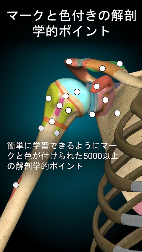Anatomy Learning - 3D解剖学のおすすめ画像3