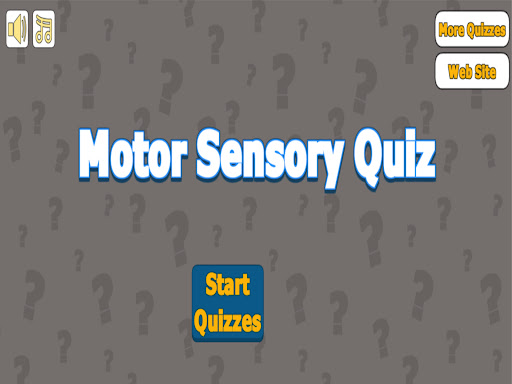 Motor Sensory  Reflexes Quiz