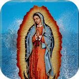 La Virgen de Guadalupe 2017 icon