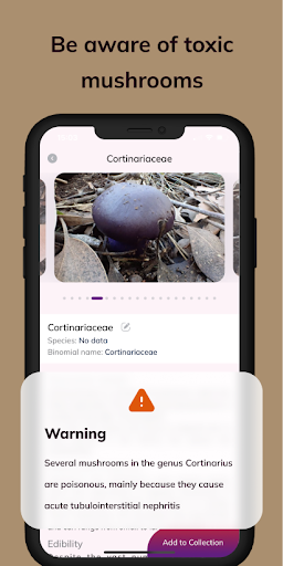 MushroomAI: Fungi ID & Guide 3