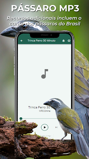 Android application Canto Esquentar Trinca Ferro screenshort