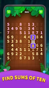 Number Match - Ten Pair Puzzle 11