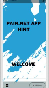 Pain.nt App Hint