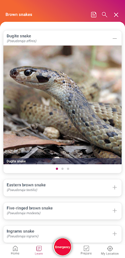 Australian Bites and Stings