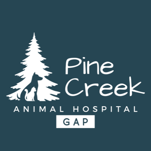 Pine Creek AH Gap logo