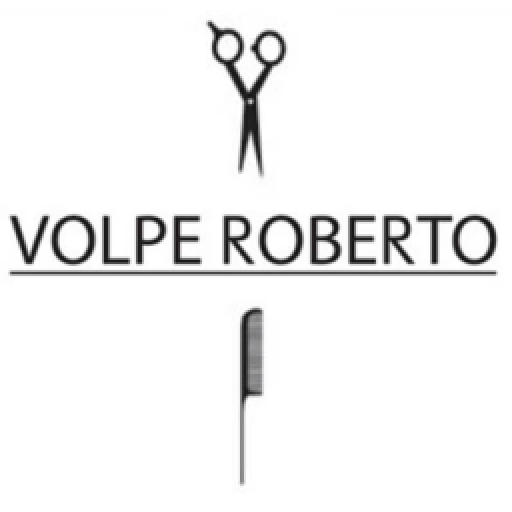 VOLPE ROBERTO 1.3 Icon