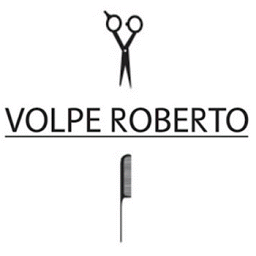 Icon image VOLPE ROBERTO