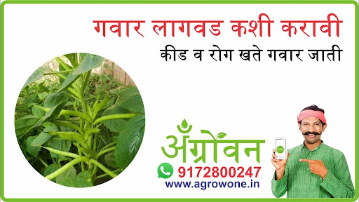 मुग लागवड #Agrownet™ Screen 2