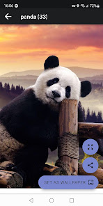 Captura de Pantalla 3 Pandas Fondos de Pantalla android