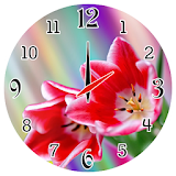 Spring Flowers Clock icon