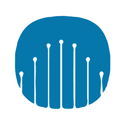 NoaScope logo