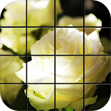 White Rose Puzzle Games icon