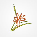 Green Leaf Massage Center icon